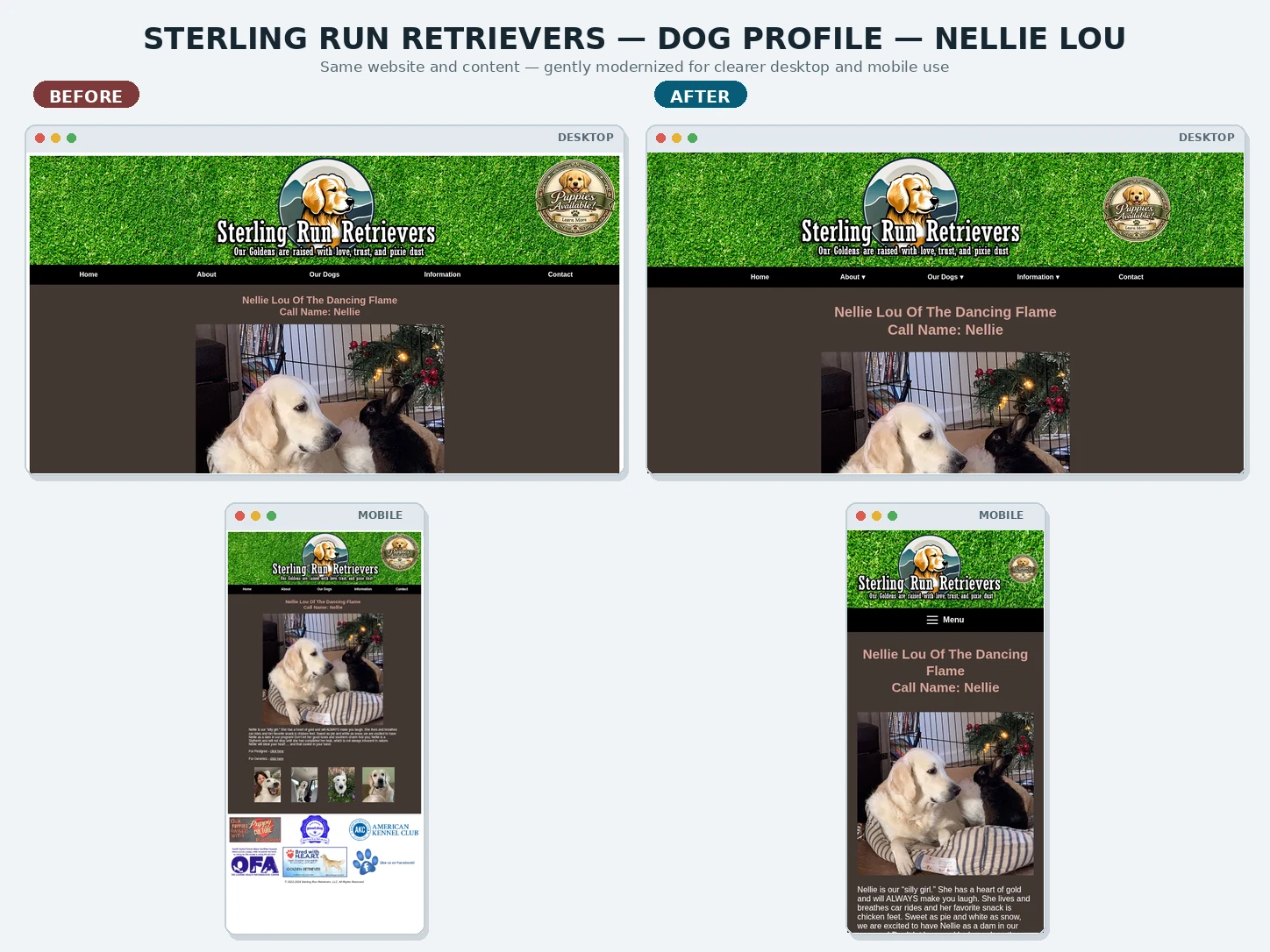 Before-and-after comparison of Sterling Run Retrievers Dog Profile — Nellie Lou on desktop and mobile