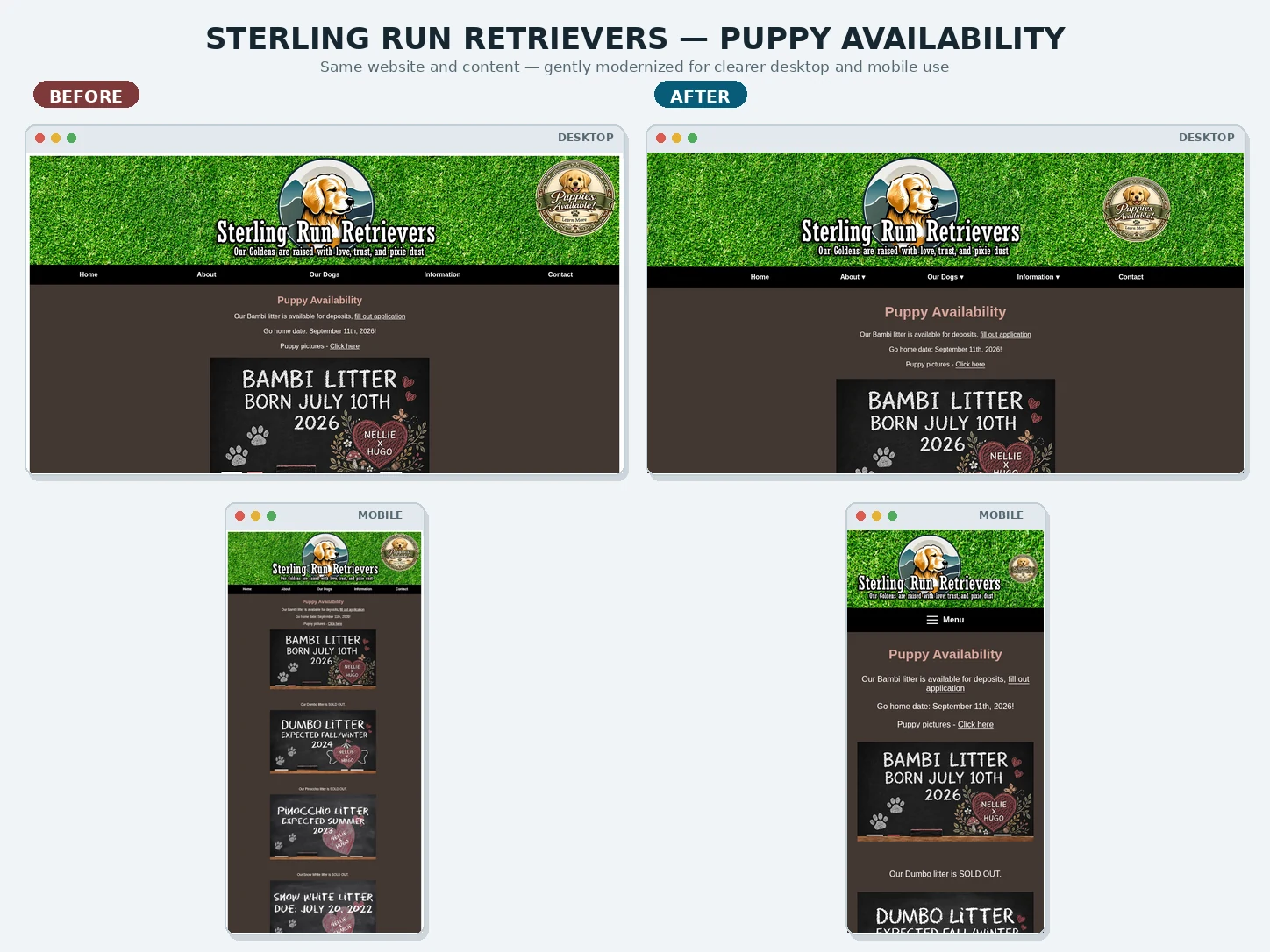 Before-and-after comparison of Sterling Run Retrievers Puppy Availability on desktop and mobile